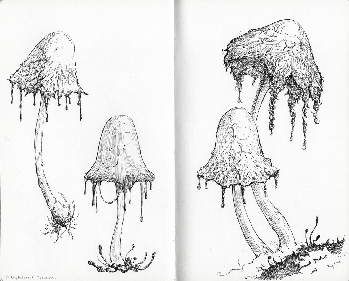 Weeping mushrooms