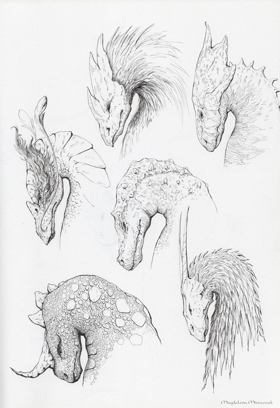 Dragonbors