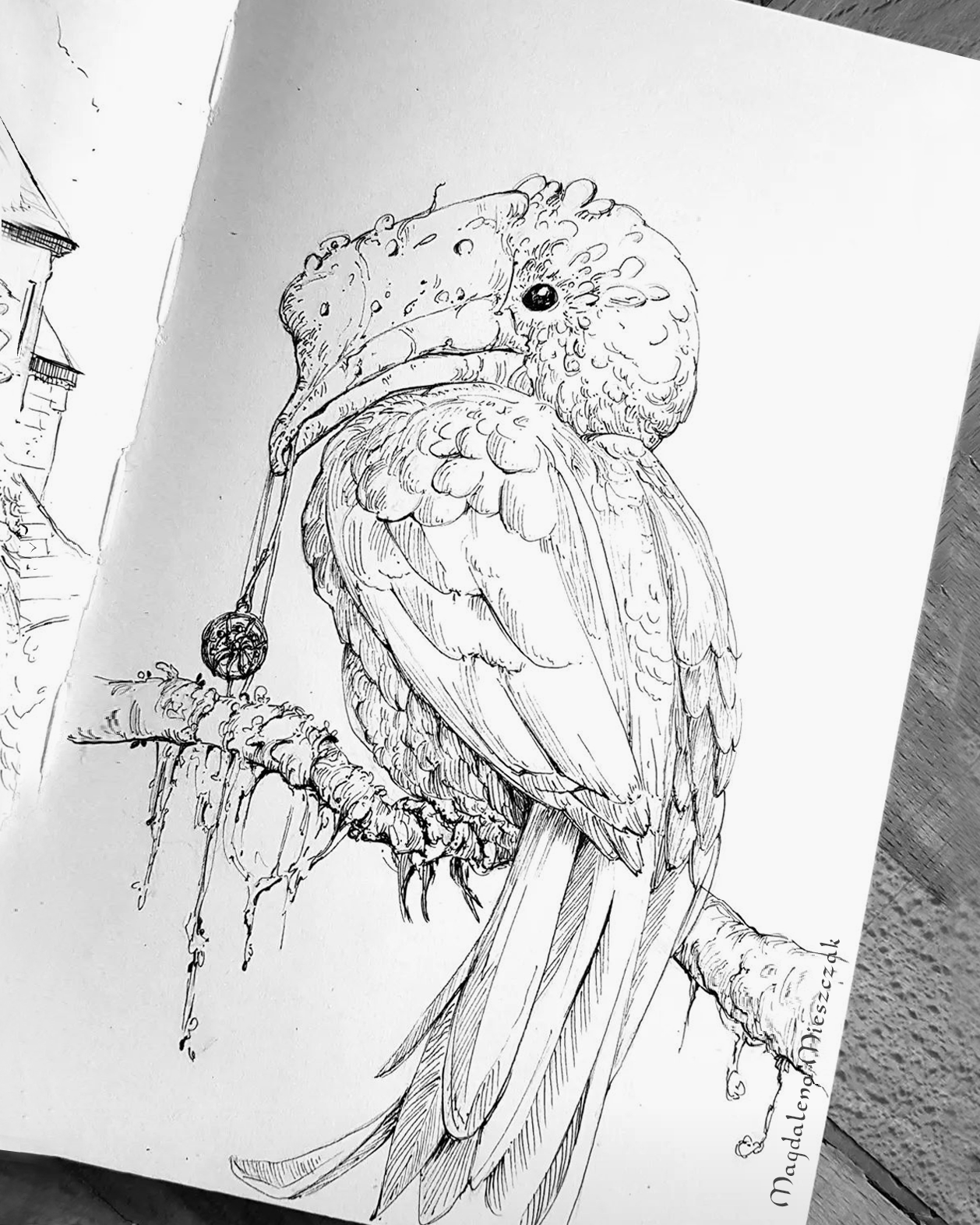 Harpy